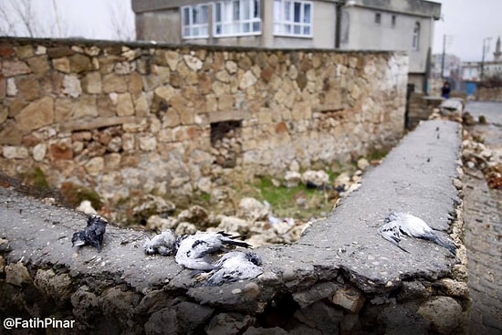 19 Gün Süren Sokağa Çıkma Yasağının Ardından Dargeçit