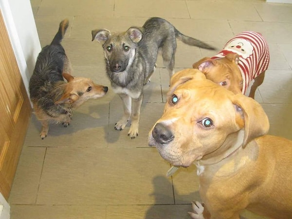 Любовь творит чудеса!