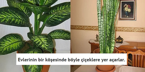 Çok Tanıdık Gelecek! Mahalle Kültüründeki Elli Yaş Civarı Teyzelerin Olmazsa Olmaz 20 Özelliği