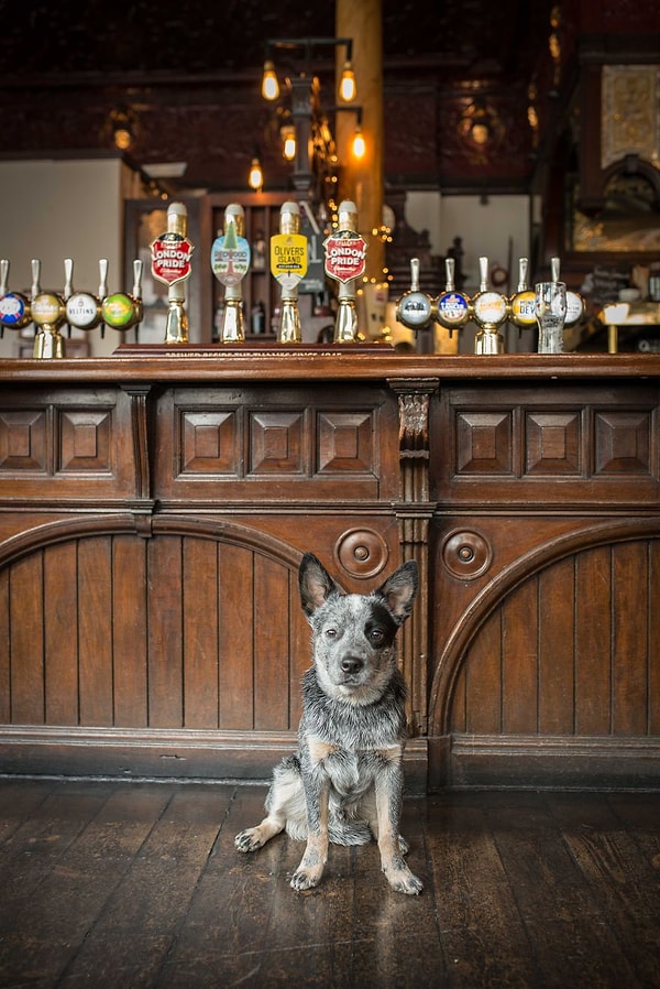 Время расслабиться в пабе.