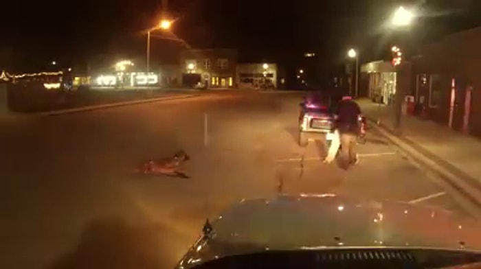 K9'ların Ne Kadar Etkili Olduğunun Kanıtı: Hamle Yapan Şüpheliye Saldıran Köpek