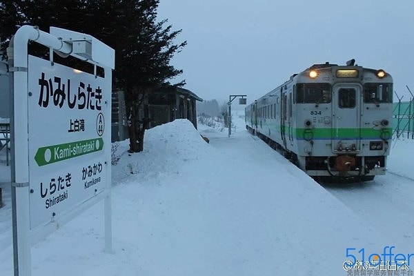 Согласно японским СМИ, недавно девочка сдала все экзамены и поступила в университет.