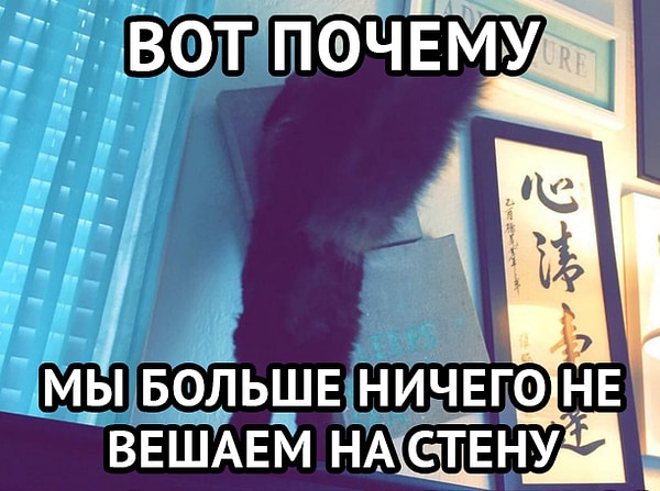 15. Ты вынужден учиться на своих ошибках.