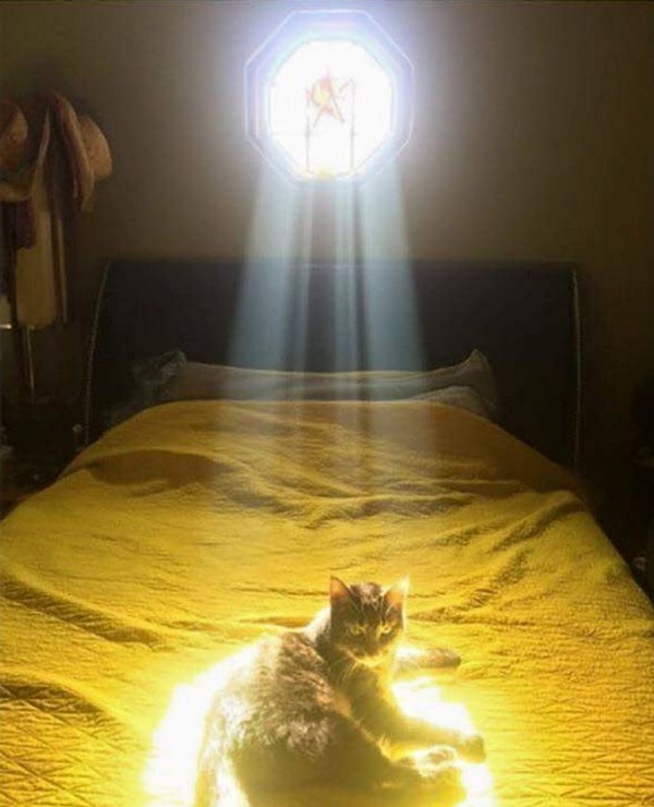 19. Потому что знаешь, что они - высшие существа.