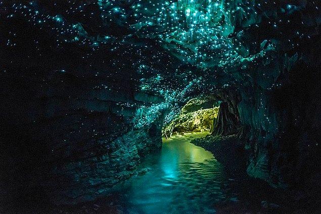 19. Yeni Zelanda'da bulunan Waitomo Mağaraları'nın tavanı, sadece o bölgede yaşayan "Arachnocampa luminosa" isimli ateşböcekleri sayesinde gece göğü gibi parlıyor.