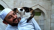 Bu Hocanın Dediğini Yap Yaptığını da Yap: Camisini Sokak Kedilerine Açan Hayvan Dostu İmam