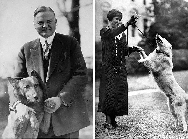 4. Başkan Herbert Hoover, cinsi Belçika Çoban Köpeği olan "King Tut" isimli köpeğiyle.