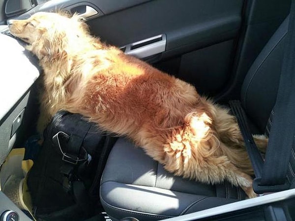 3. Где-то посередине между ручкой и креслом.