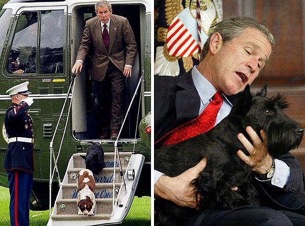 11. George W. Bush, köpekleri Spot ve Barney ile birlikte. (2002)