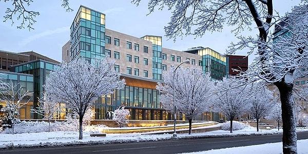 4. Massachusetts Teknoloji Enstitüsü - Sloan School of Management