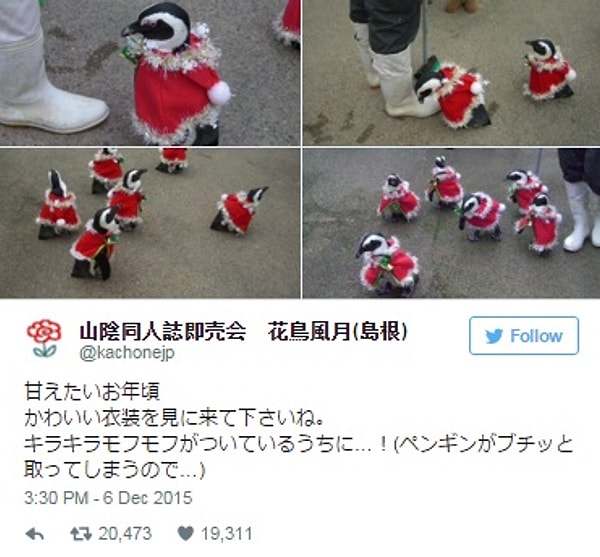 3. В таком возрасте все хотят заполучить как можно больше внимания, пингвинчики не исключение.