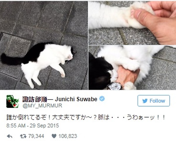 11. Кот-притворяла. «Что с вами? Я могу послушать ваш пульс? АААааа» 😈