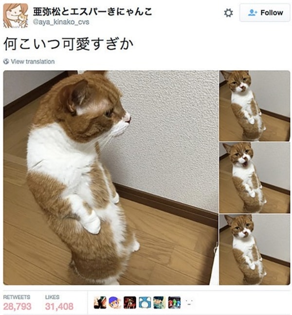 12. Этот парень слишком симпатичный и милый, чтобы быть правдой.