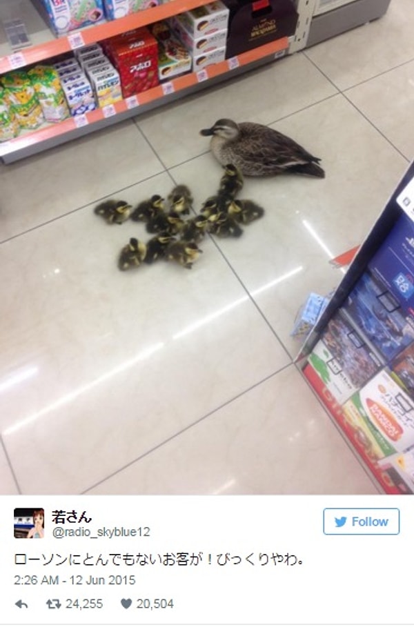 20. «Где тут у вас хлебный отдел?»