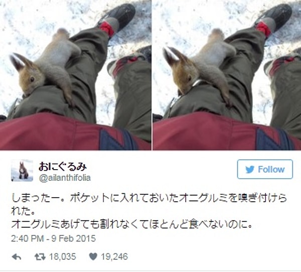 26. «Орехи! Где они? Ты бы не отдал их человеку из толпы!»