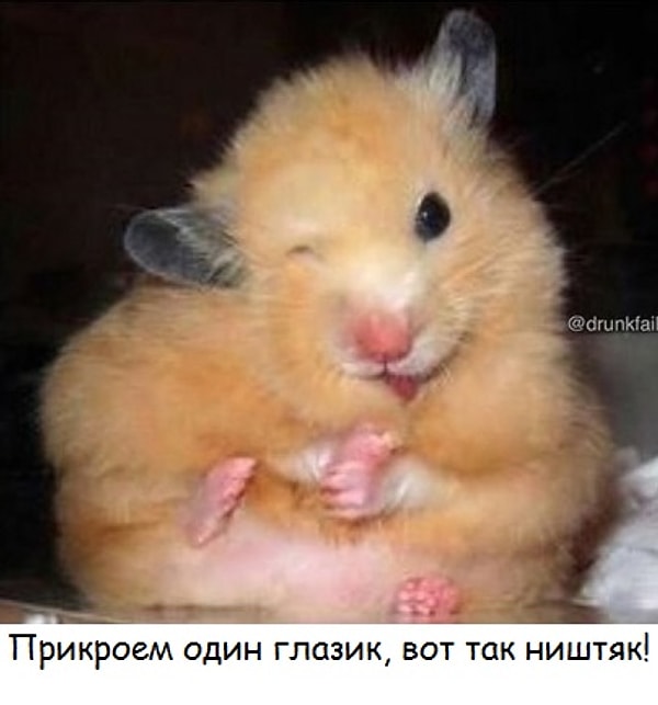 13. Когда уже порядочно набрался и решил написать сообщение, но у тебя двоится в глазах: