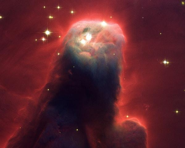 19. NGC 2264