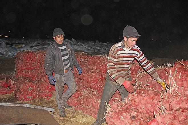 52 Ton Çimlenmiş Patates Bayırbucak Türkmenlerine Gönderildi