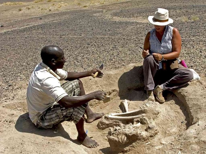 İnsanlık Tarihindeki Savaşlara Dair En Eski Kanıt 10 Bin Yıl Öncesinden