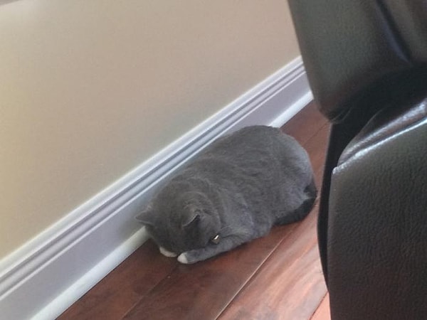 11. "Ну хватит уже меня фоткать. Сказал, что похудею - значит похудею."