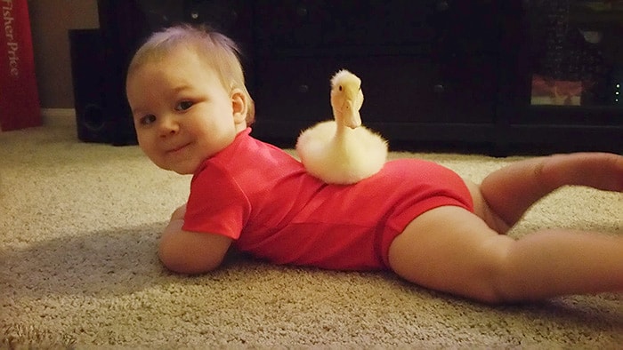 Ördek Deyip Geçmeyin: O Minik Tyler'ın İlk ve Son Aşkı!