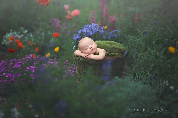 5. Спящий в саду ангел.