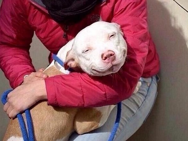 5. Когда родители встают на твою сторону: