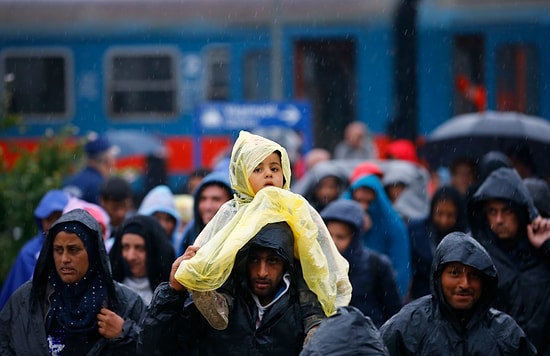 Danimarka'dan 'Nazi' Uygulamasına Onay