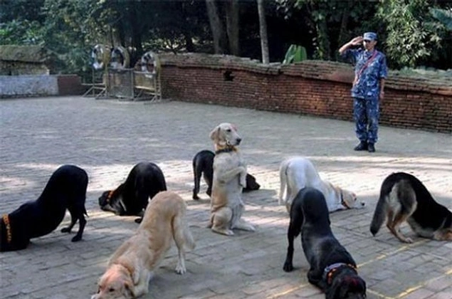 Ð­ÑÐ¾ ÑÐ¾Ð¶Ðµ Ð¾Ð±ÑÐ´ÐµÐ½Ð½Ð°Ñ ÐºÐ°ÑÑÐ¸Ð½Ð°...