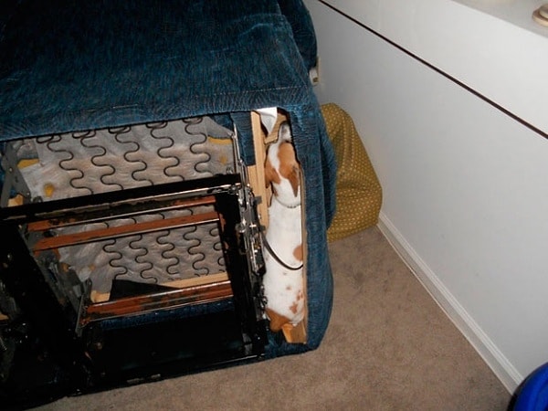 6. Если вдруг потеряете из виду друга, ищите его в таких вот местах:)