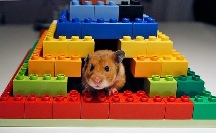 Çocuğunuzun Dağıtıp Dağıtıp Oynamadığı Başa Bela Legoları Değerlendirmek İçin 17 Yöntem