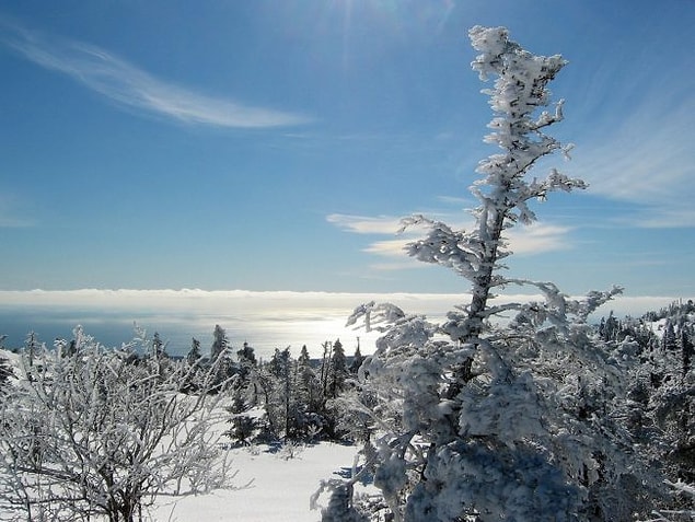 7. Acadia Ulusal Parkı, Maine