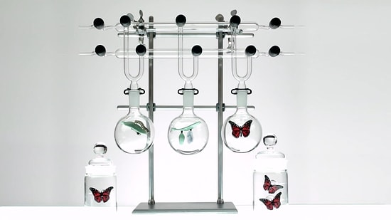 Bilimsel Tüplerin İçine Cam Heykeller Yerleştiren Sıradışı Sanatçı