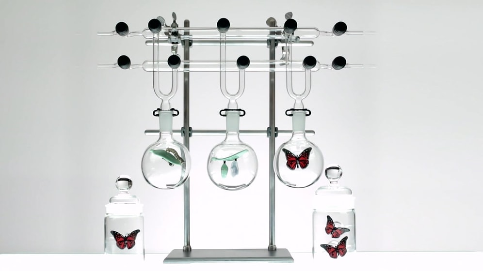 Bilimsel Tüplerin İçine Cam Heykeller Yerleştiren Sıradışı Sanatçı