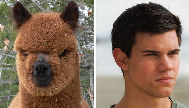 7. Taylor Lautner