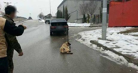 İnsanlığın Bittiği An: Otomobilinin Arkasına Bağladığı Köpeğini Sürükledi
