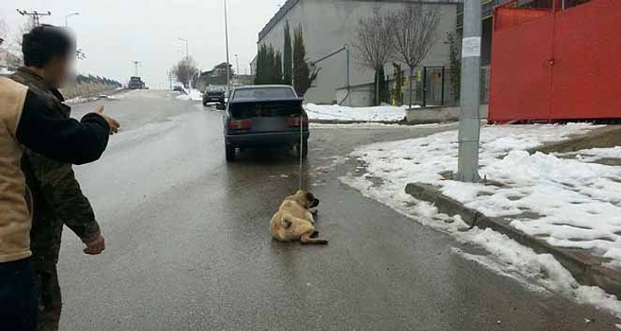 İnsanlığın Bittiği An: Otomobilinin Arkasına Bağladığı Köpeğini Sürükledi