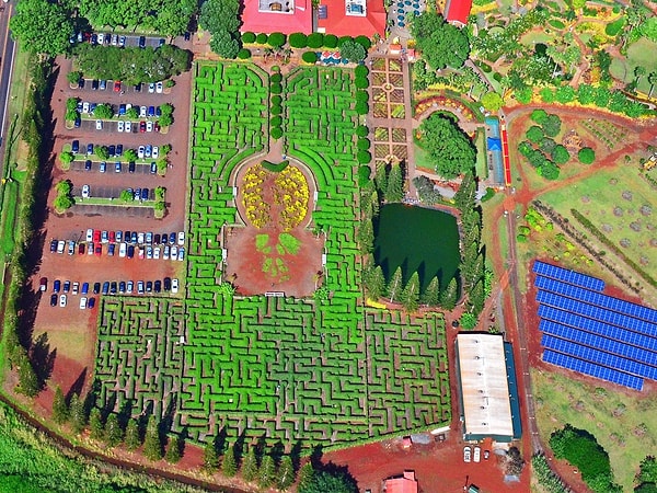 22. Ананасовая плантация Dole Самый большой в мире зеленый лабиринт: