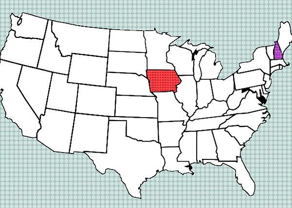2. Iowa ve New Hampshire eyaletleri, partilerin ABD başkan adaylarının belirlenmesinde, önemli bir etkiye sahipler.