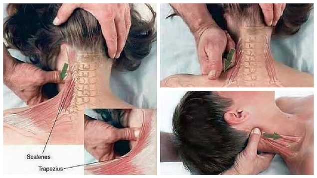Эти картинки сделают вас профи в массаже!