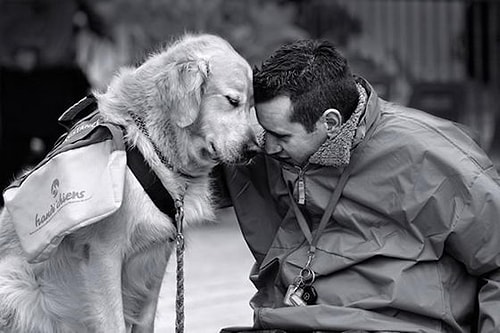 When you are upset, they come and comfort you. They hold your hands and make you feel better.
