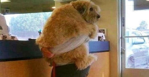 When they feel scared or unsafe, they immediately run and hug you.