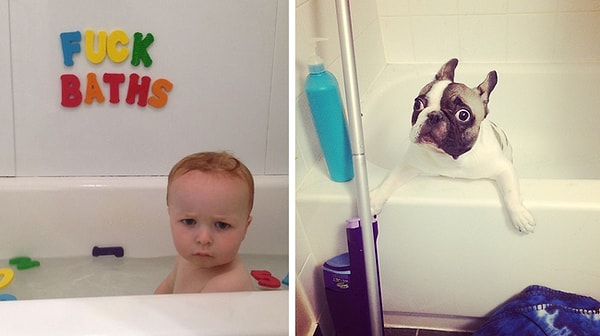 2. Купаться и мыться в ванной любят лишь немногие из них.