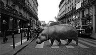 Идея для фото: животные на улицах Европы