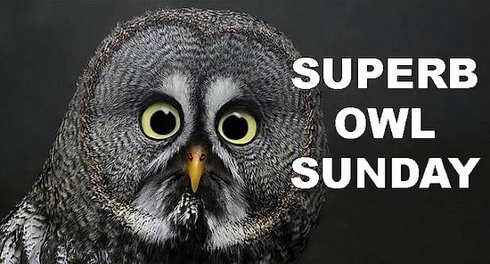 Superb Owl Sunday или как отрываются в интернете