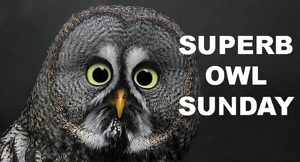 Superb Owl Sunday или как отрываются в интернете