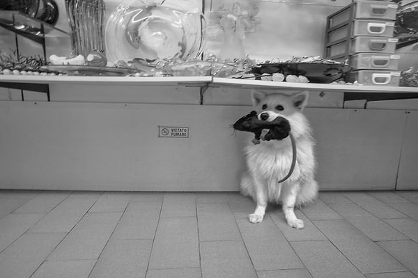 9. Все смешалось...