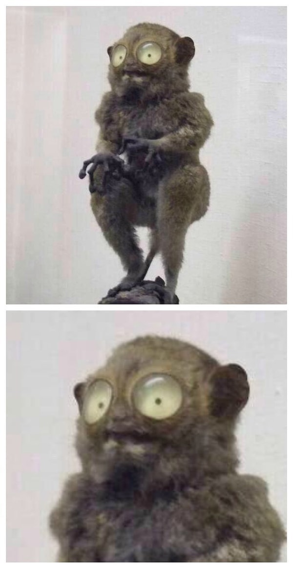 1. Сперва ты с ужасом понимаешь, что забыл очки дома.