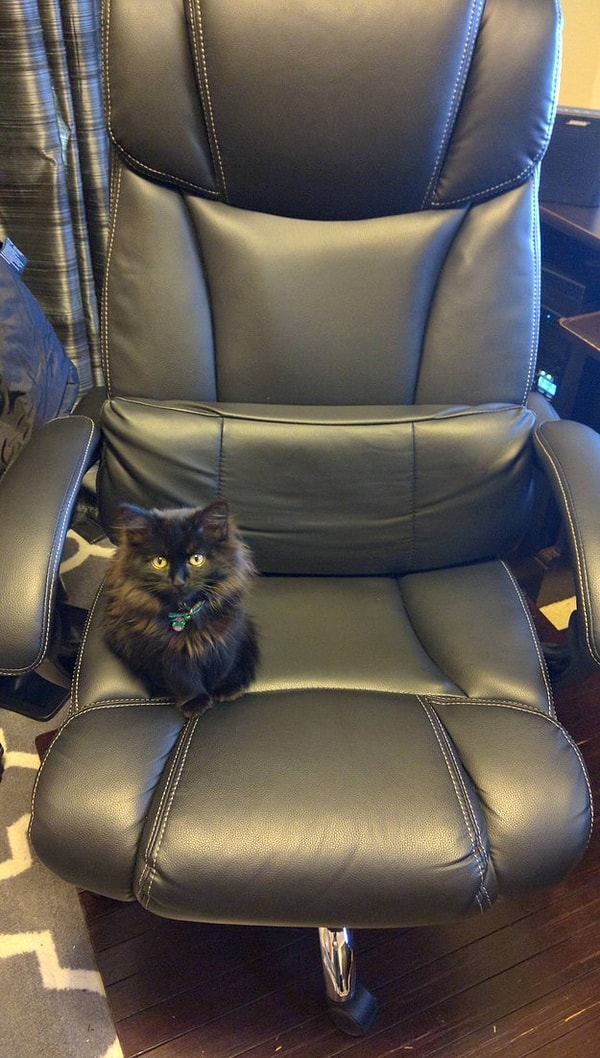 1. Босс – тот, кто всегда лично готов убедиться, что бизнес на ходу.