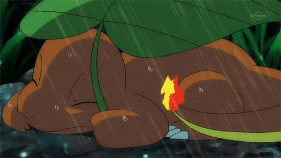 Çocukluğumuzun Büyük Üzüntüsü: Charizard'ın Ash'i Dinlememesinin ...